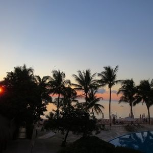 Meet your Posher, Bette